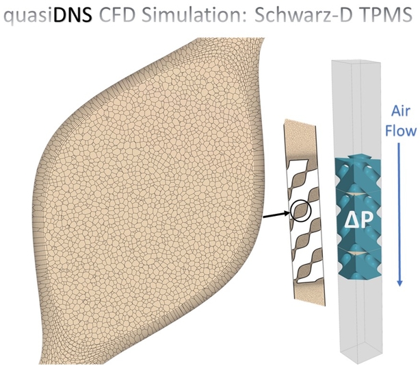 LSS Web Page Image